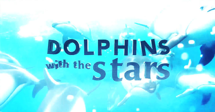 Golfinos «Golfinhos Com As Estrelas»: Descubra A Última Celebridade Confirmada