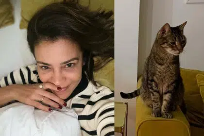 Rita Ferro Rodrigues, Gato Matias